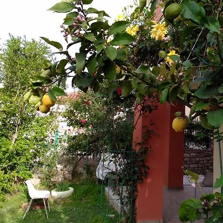 Manto House - Alexandra * Kato Figalia